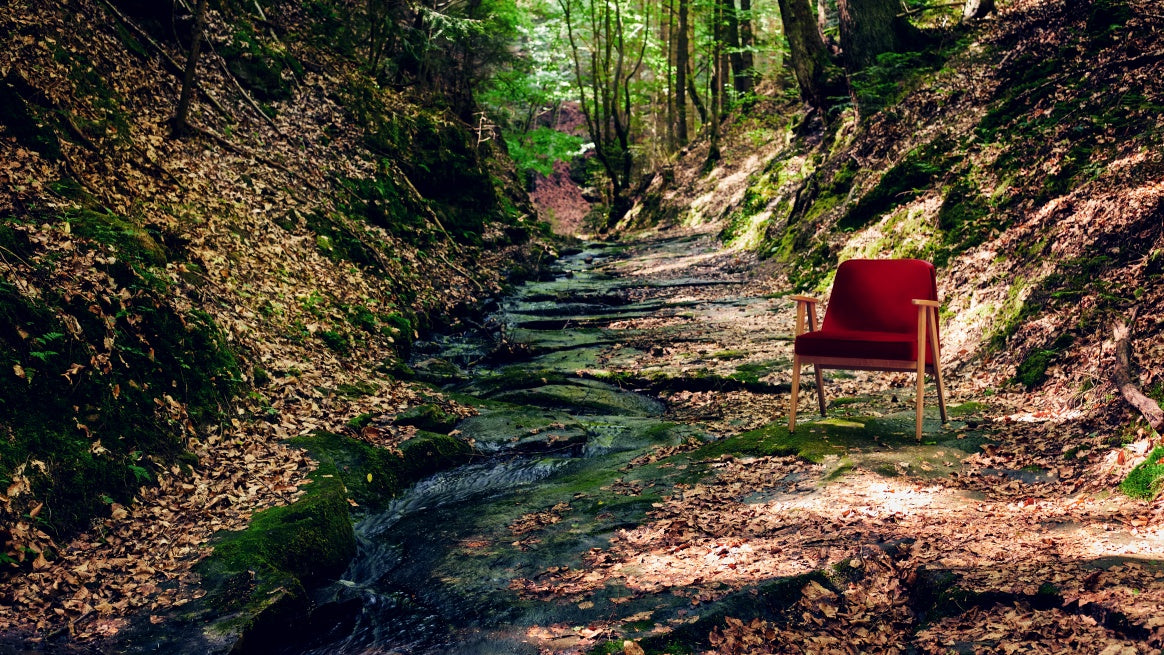 Forest Rescue Program by 366 Concept