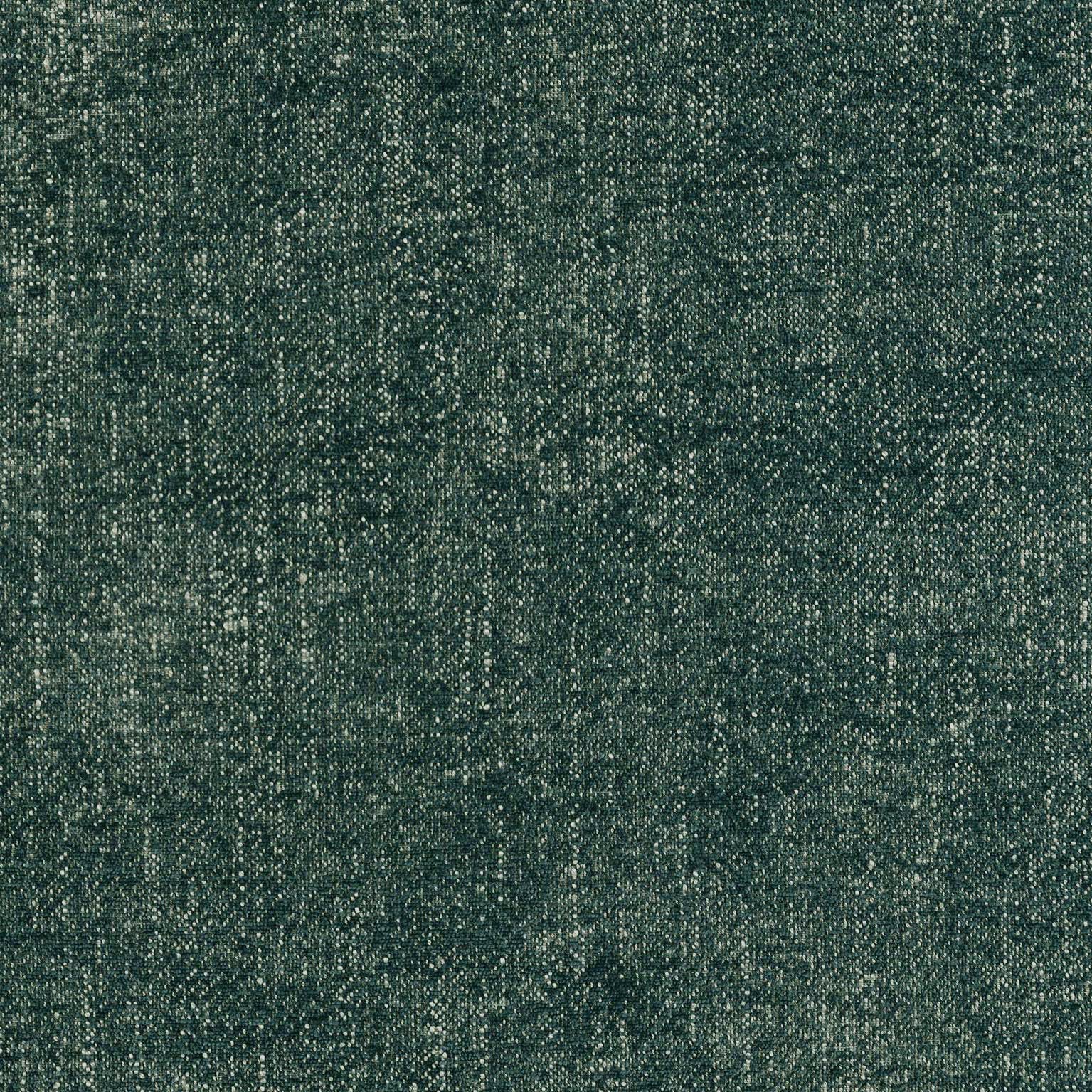 Échantillons de tissus