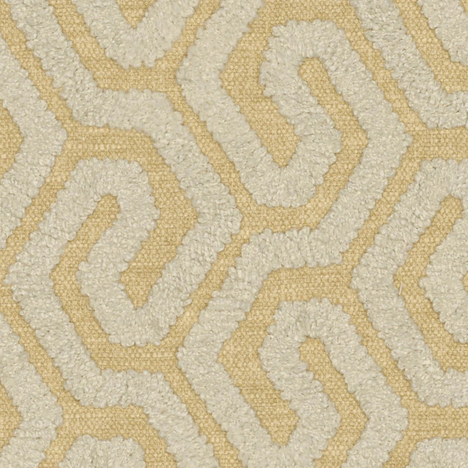 Échantillons de tissus