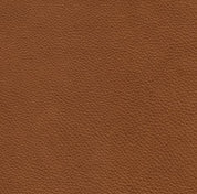 Échantillons de tissus