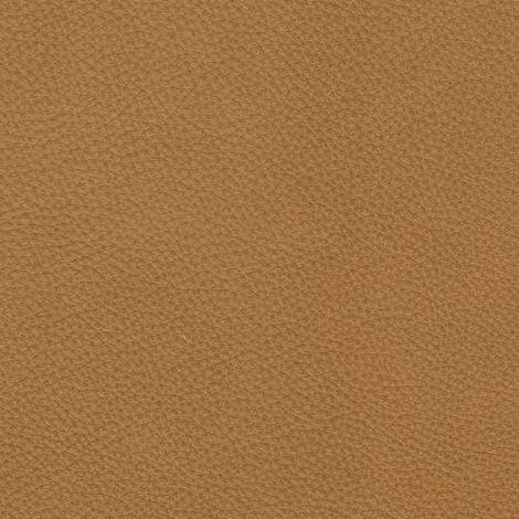 Échantillons de tissus