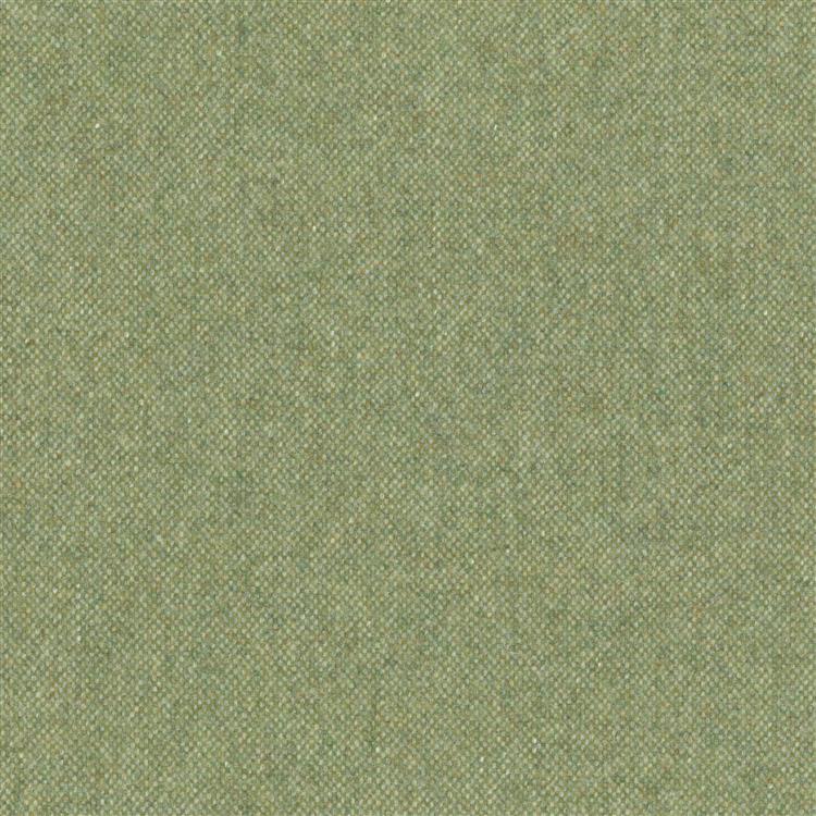 Échantillons de tissus